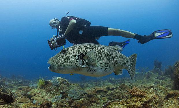 lan bien scuba diving tai dao Mamutek.jpg