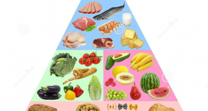 Biểu đồ tháp dinh dưỡng mới nhất năm 2015