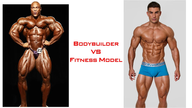 Bodybuilder và Fitness Model 