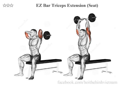 EZ Bar Triceps Extension 