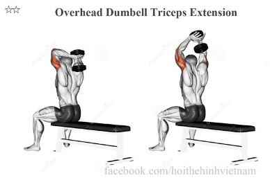 Overhead Dumbell Triceps Extension