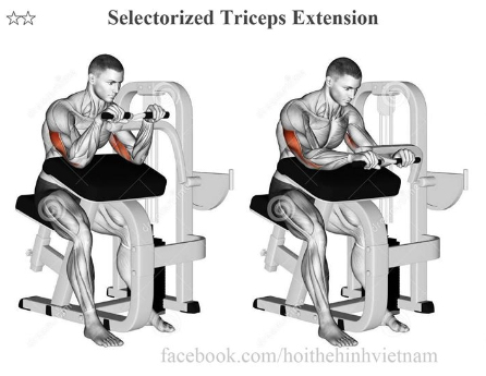 Selectorized Triceps Extension