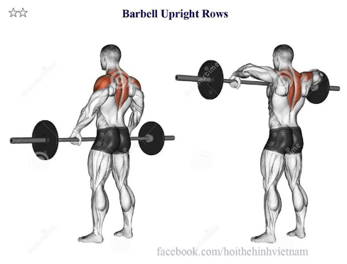 Barbell Upright Rows