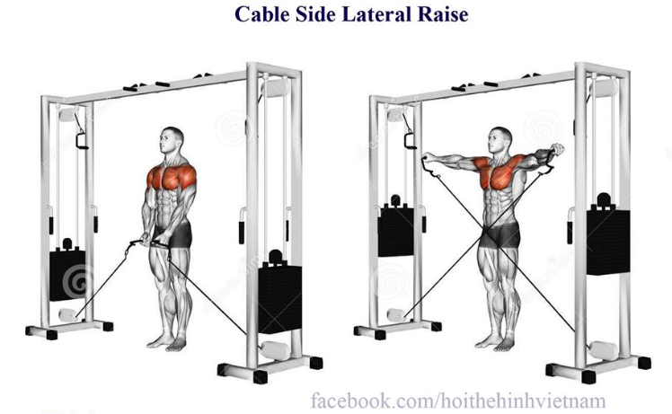 Cable Side Lateral Raise