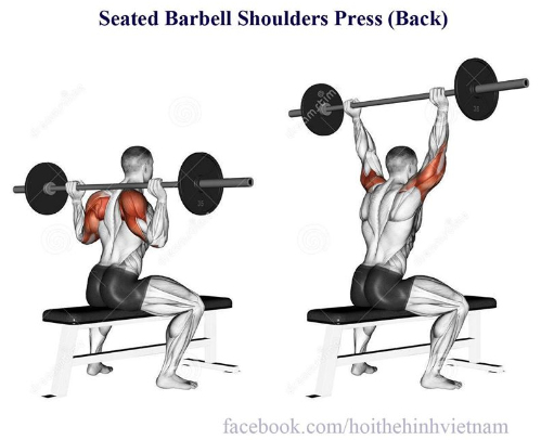 Seated Barbell Shoulders Press