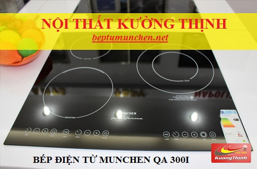 Mẹo giúp phân biệt bếp điện từ Munchen QA 300I thật và giả