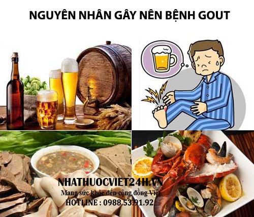 nguyên nhân gây nên bệnh gout