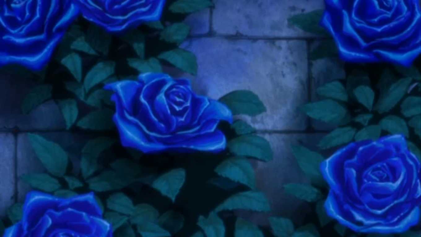 Аниме кровь+ синяя роза